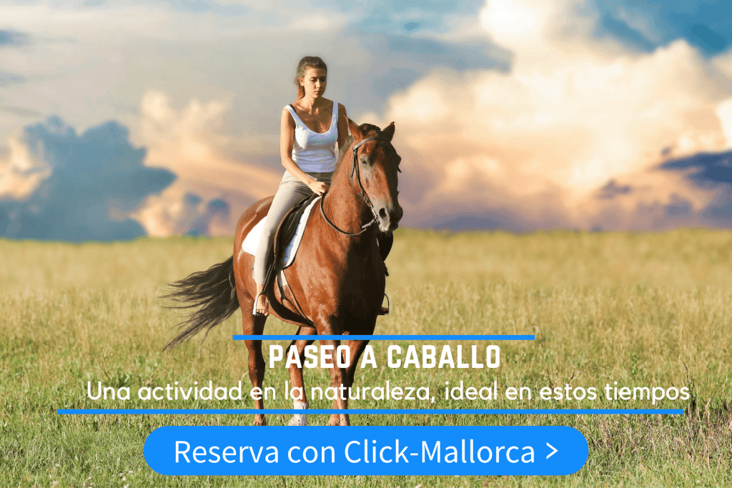 paseos a caballo