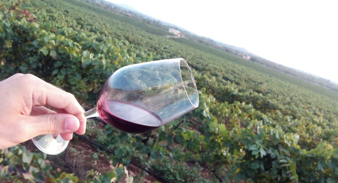 Mallorca Wine Guide Vineyards, Wineries and Wines