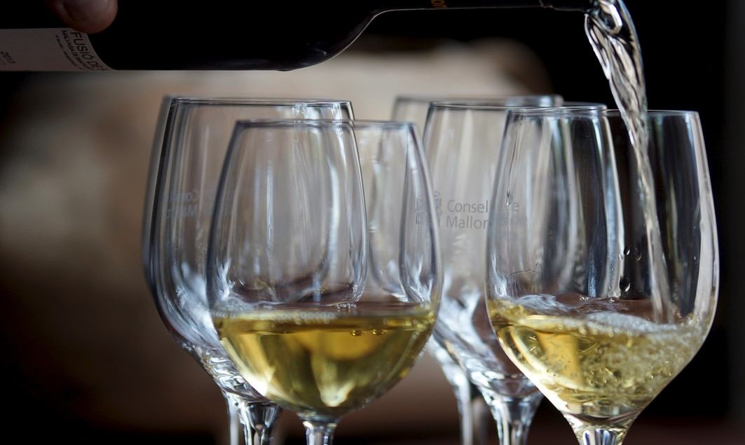 Mallorca Wine Guide Vineyards, Wineries and Wines