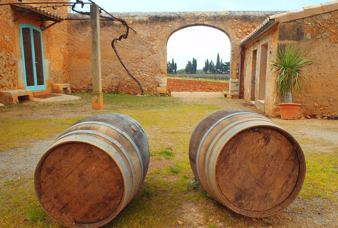 Mallorca Wine Guide Vineyards, Wineries and Wines