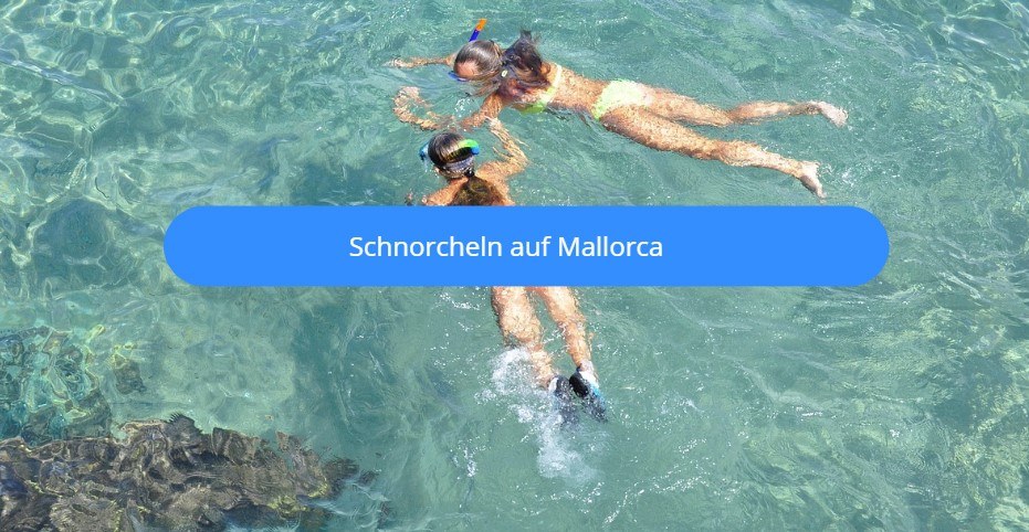 Schnorcheln auf Mallorca