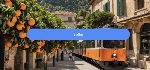 soller